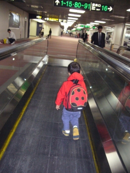 テントウムシリュック