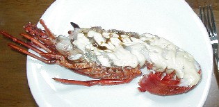 伊勢エビ3