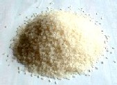 幻の米ステビア栽培「コシヒカリ」をご賞味あれ・・・