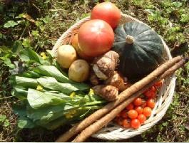 ステビア農法栽培「米・新鮮野菜セット」を宅配します。