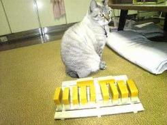 ﾏﾇｶ＆ｵｰﾄﾐｰﾙ2-070109