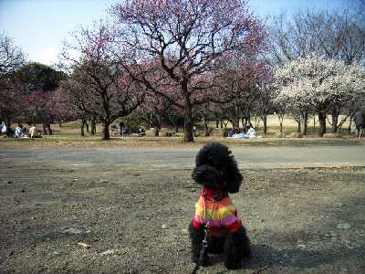 2月21日航空公園