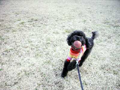 2月21日航空公園にて