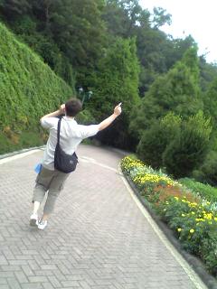 トウフフラワーガーデン