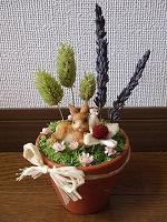 ウサギの鉢植え