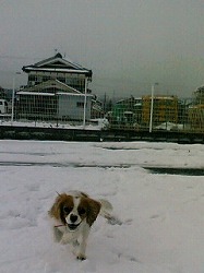 テイファ子、雪初体験！