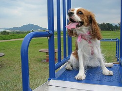 運動神経に自信アリ♪