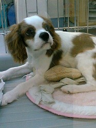 (・∀・)ﾓｴー