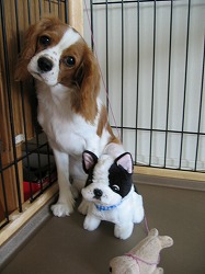 ワタチ苦手です・・この子 byティファ子