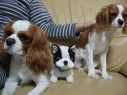 初３ショット！(無理矢理♪)