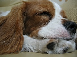 あ～疲れた疲れた！