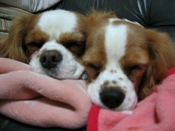 ホンマに親子か？似てねー（笑）