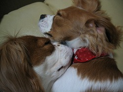 変な寝方（笑）