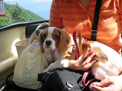 ゴンドラ内にて