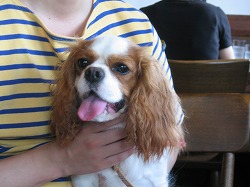 ぐぇっ！く、苦しい・・・