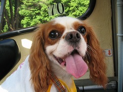 ゴンドラ内にて