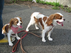 バテ気味の親子