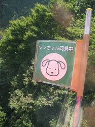 ワンコが乗っています