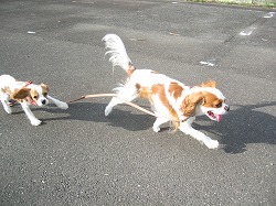 ティファ子のカメラ目線