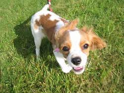 ティファ子走る