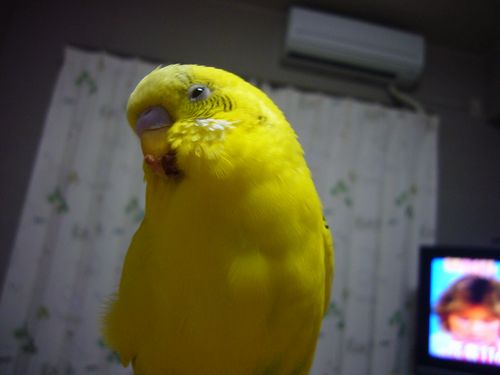 画像 239.jpg