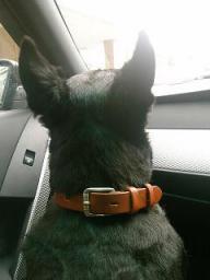 フラれた帰り道