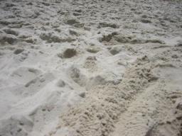白浜の砂