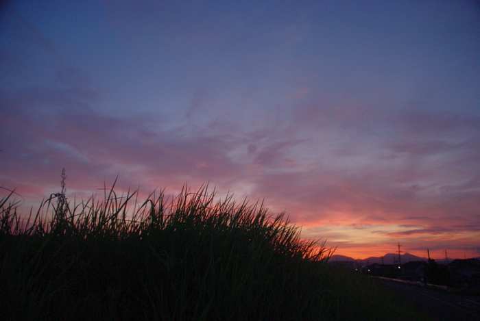 IMGP4254ゆうやけ.jpg
