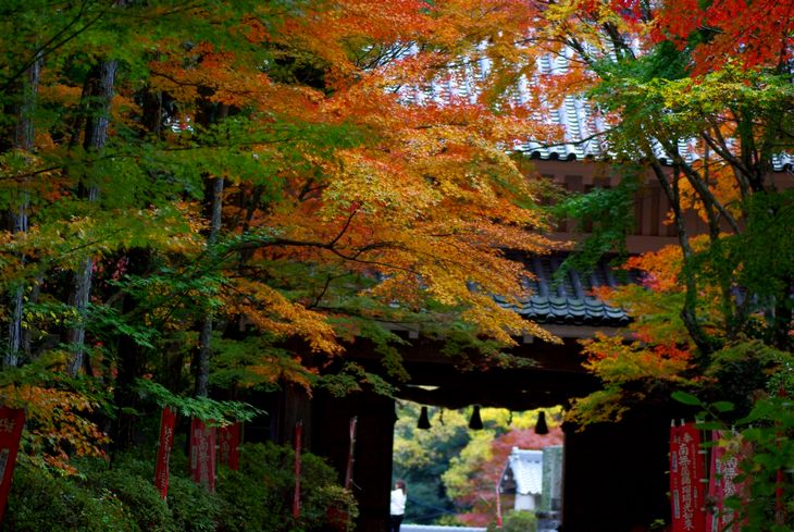 IMGP6174. yusanji.jpg