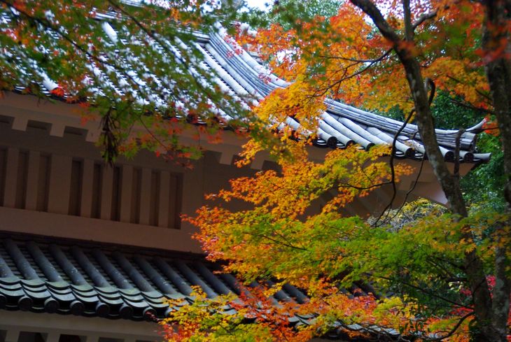 IMGP6224 yusannji.jpg