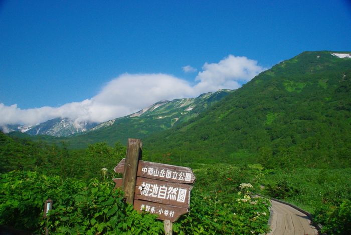 IMGP3837-1 自然園.jpg