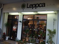 Leppca 010.jpg