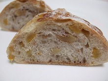 ゼルコバ 057.jpg