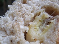 和歌山・京都　旅 044.jpg