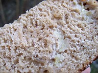 和歌山・京都　旅 053.jpg