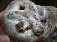 和歌山・京都　旅 048.jpg