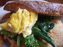 ゼルコバ 036.jpg