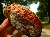 スペシャルなランチ 032.jpg