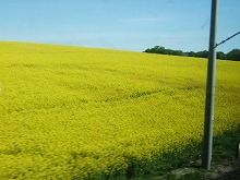 ロンドン・ベルリン一人旅 114.jpg