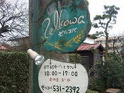 ゼルコバ 040.jpg