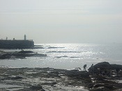 魚介ー！！ 001.jpg