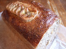 ゼルコバ 026.jpg