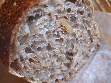 ゼルコバ 028.jpg