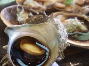 魚介ー！！ 006.jpg