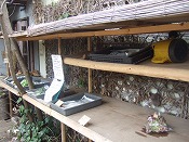 ゼルコバ 039.jpg