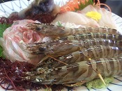 魚介ー！！ 007.jpg