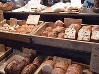 ゼルコバ 003.jpg