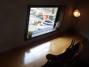 ゼルコバ 017.jpg