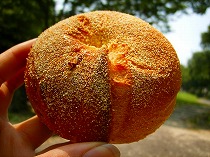 スペシャルなランチ 030.jpg