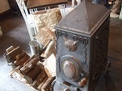 ゼルコバ 015.jpg